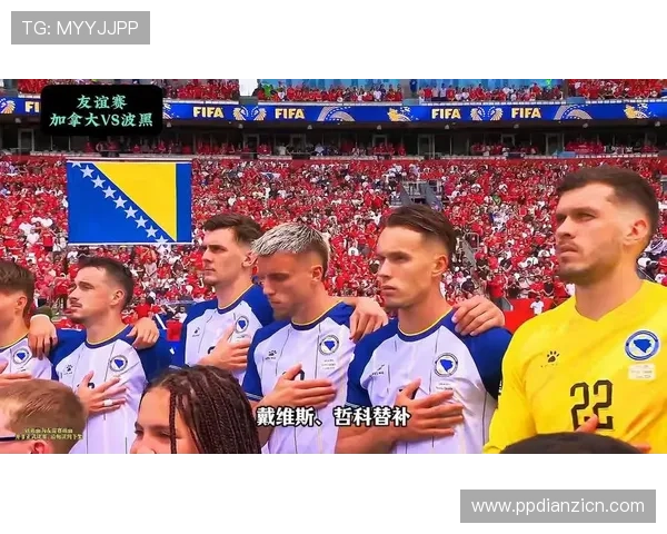 加拿大VS波黑足球世界杯比赛关键战术亮点与球员表现深度解析