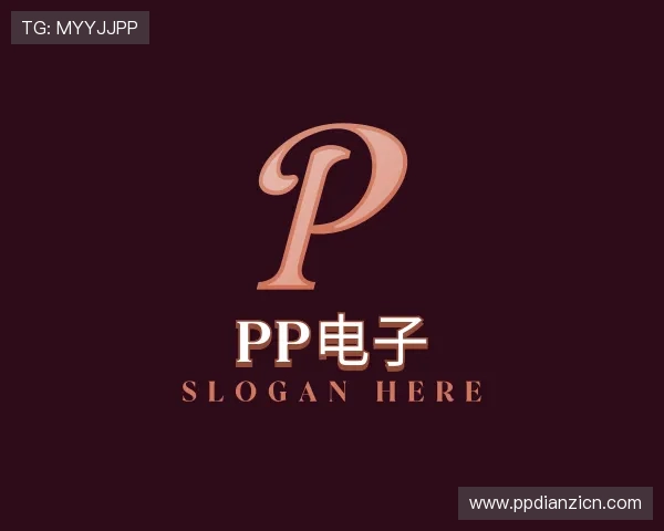 关于pp电子